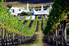 Te Mata Coleraine wines