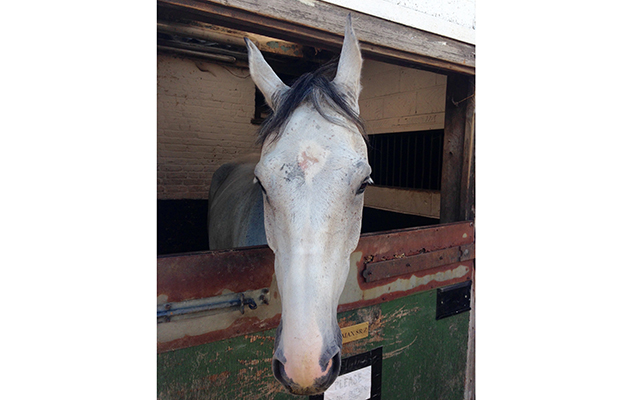 Case study head_116602581_208931131
