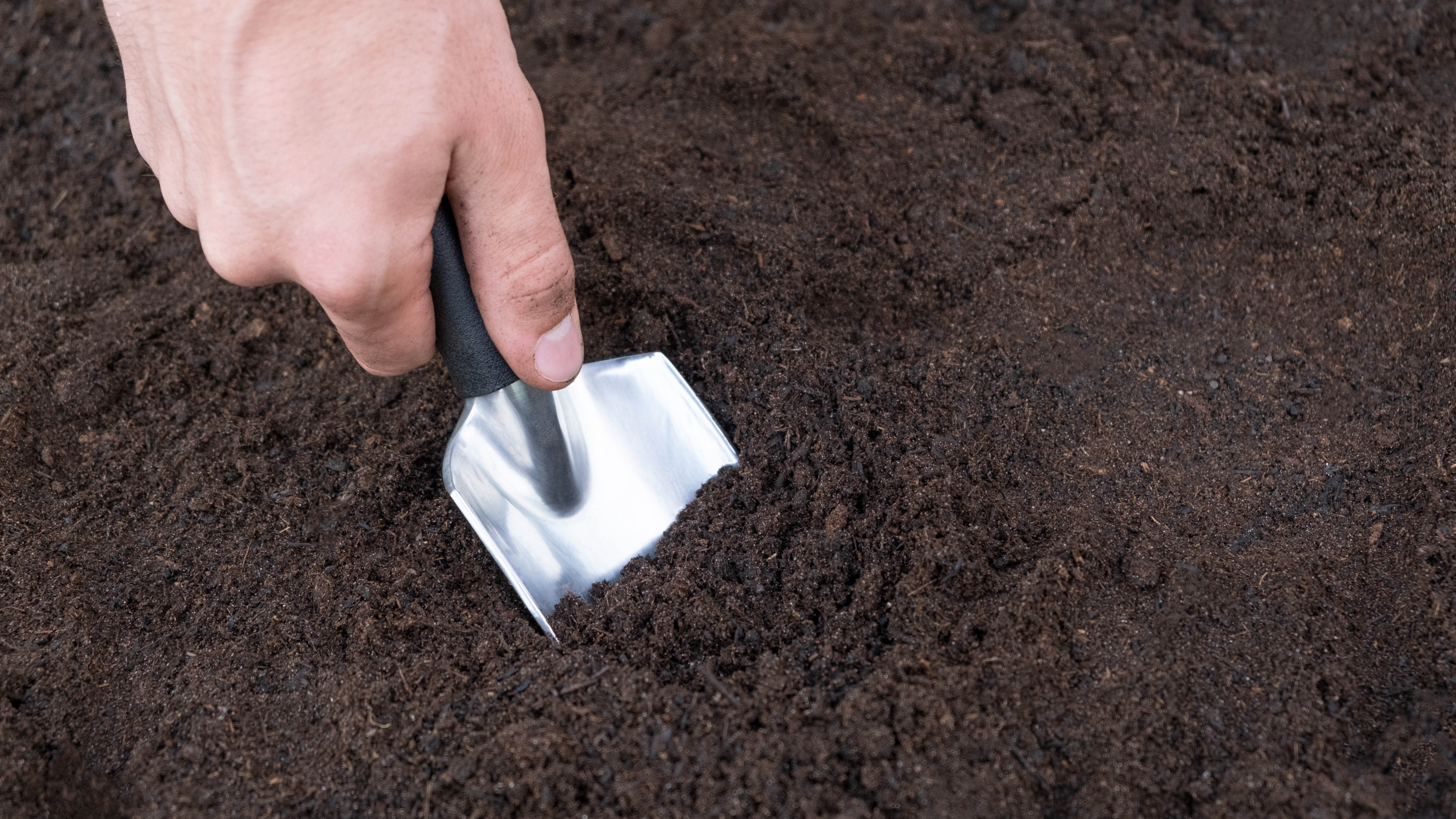 Digging soil to prepare for seed