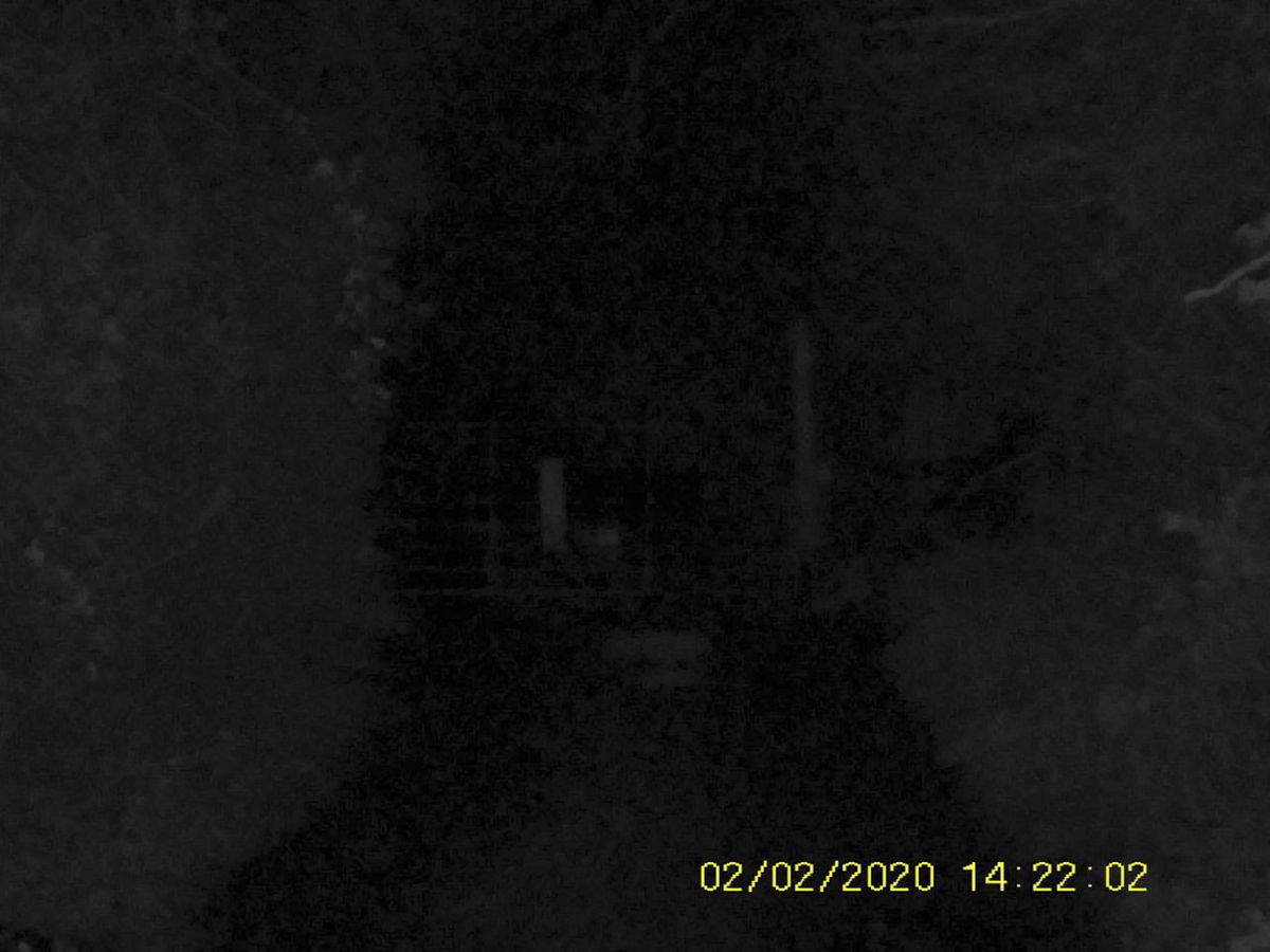 Sample images from the Rexing B1 Basic