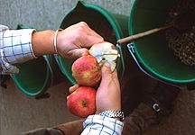 apples-feed.jpg