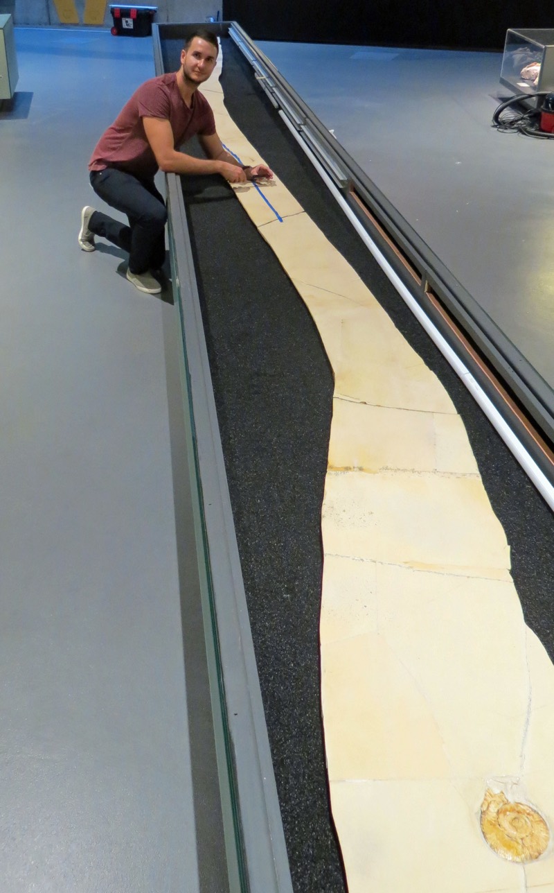 Paleontologist Dean Lomax of the University of Manchester poses by the "death drag" ammonite fossil, which is almost 28 feet (8.5 meters) long.