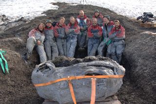 The huge pliosaur fossils had to be cast in plaster before being removed from the Svalbard site.