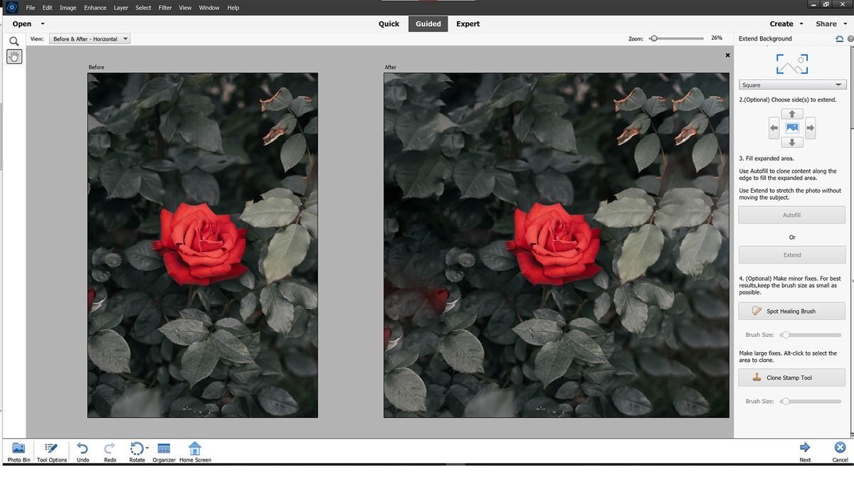 Photoshop Elements 2022