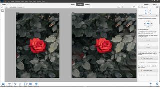 Photoshop Elements 2022