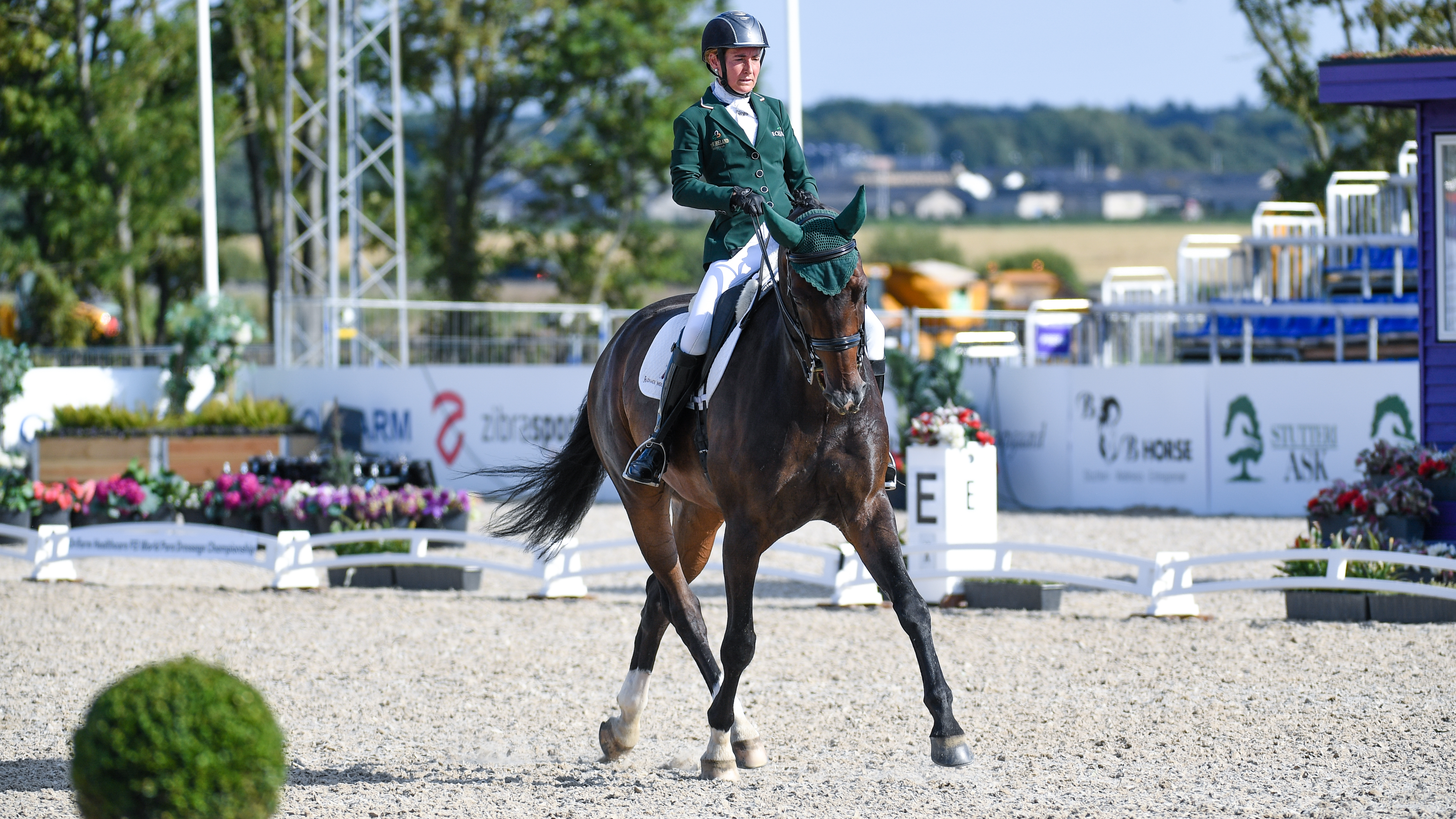 World Para Dressage Championships Tamsin Addison