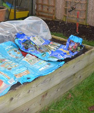 covering the soil with old compost bags to warm it up