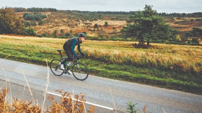 Image shows a cyclist on a bike ride during Autumn.