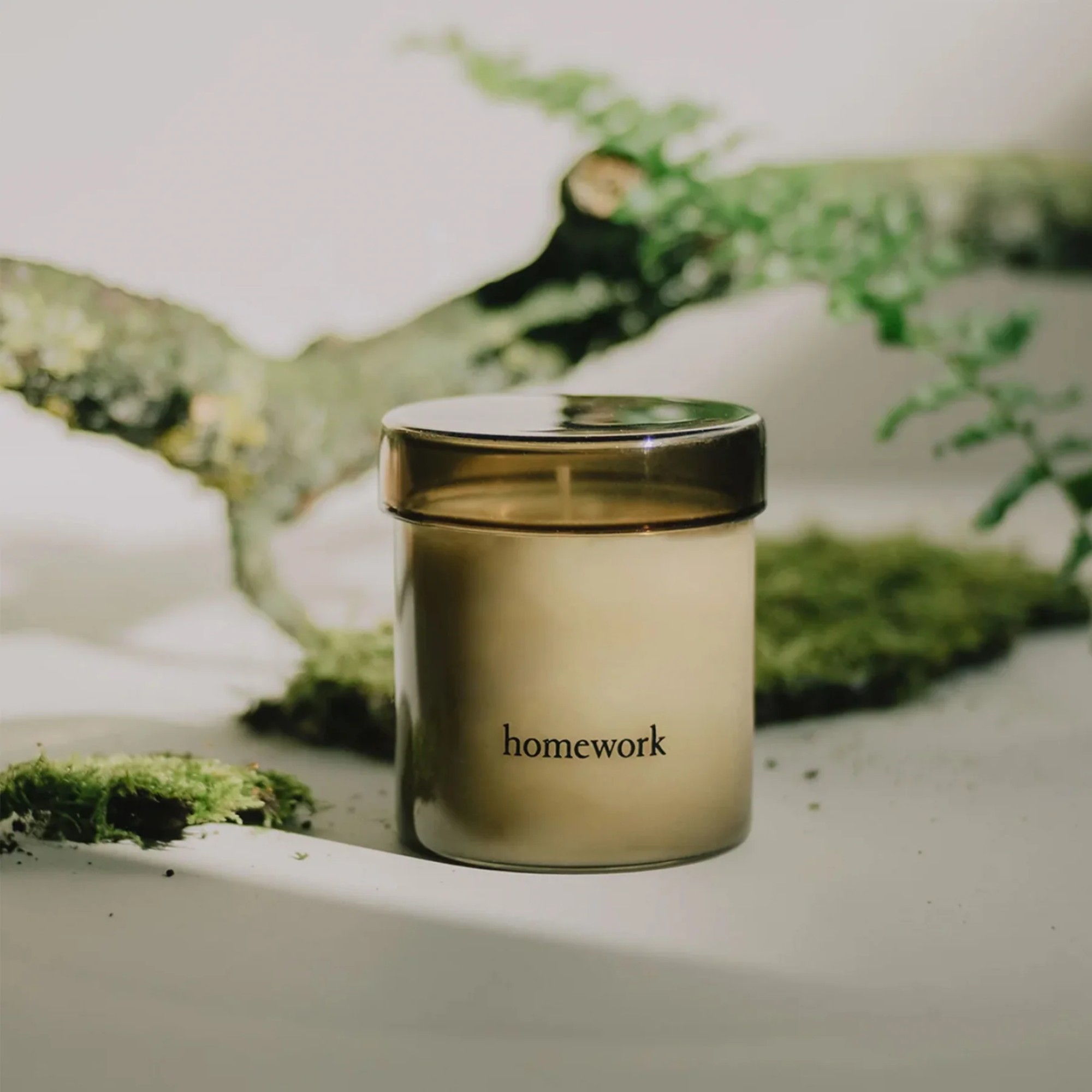 Homework scented candle with a branch and moss in the background