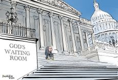 Political Cartoon
