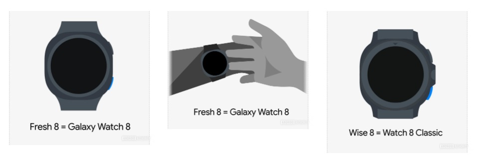 A set of leaked graphics of the upcoming Galaxy Watch 8 and 8 Classic with a 