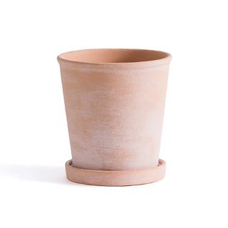 Terracotta plant pot with drip tray
