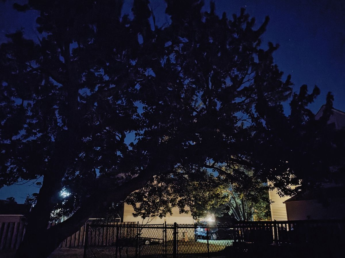 Motorola Razr Plus 2023 low light sample.