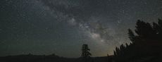 search for life, Milky Way