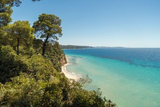 A photograph from the forest in Sani Resort, looking down at the trees and a pristine slice of beach and crystal blue waters