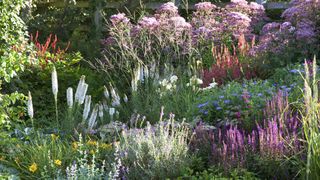 herbaceous border in full bloom – supporting plants