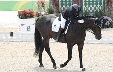 bluffer's guide para dressage paralympics