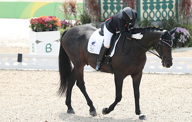 bluffer's guide para dressage paralympics