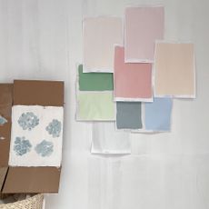 Selection of pink, blue and green paint samples on paper attached to wall