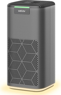 Welov Air Purifier Was $229.99 Now $139.99 at Amazon