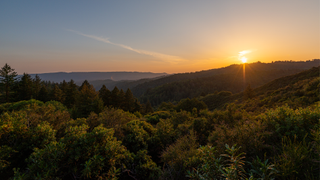 Santa cruz Mountains