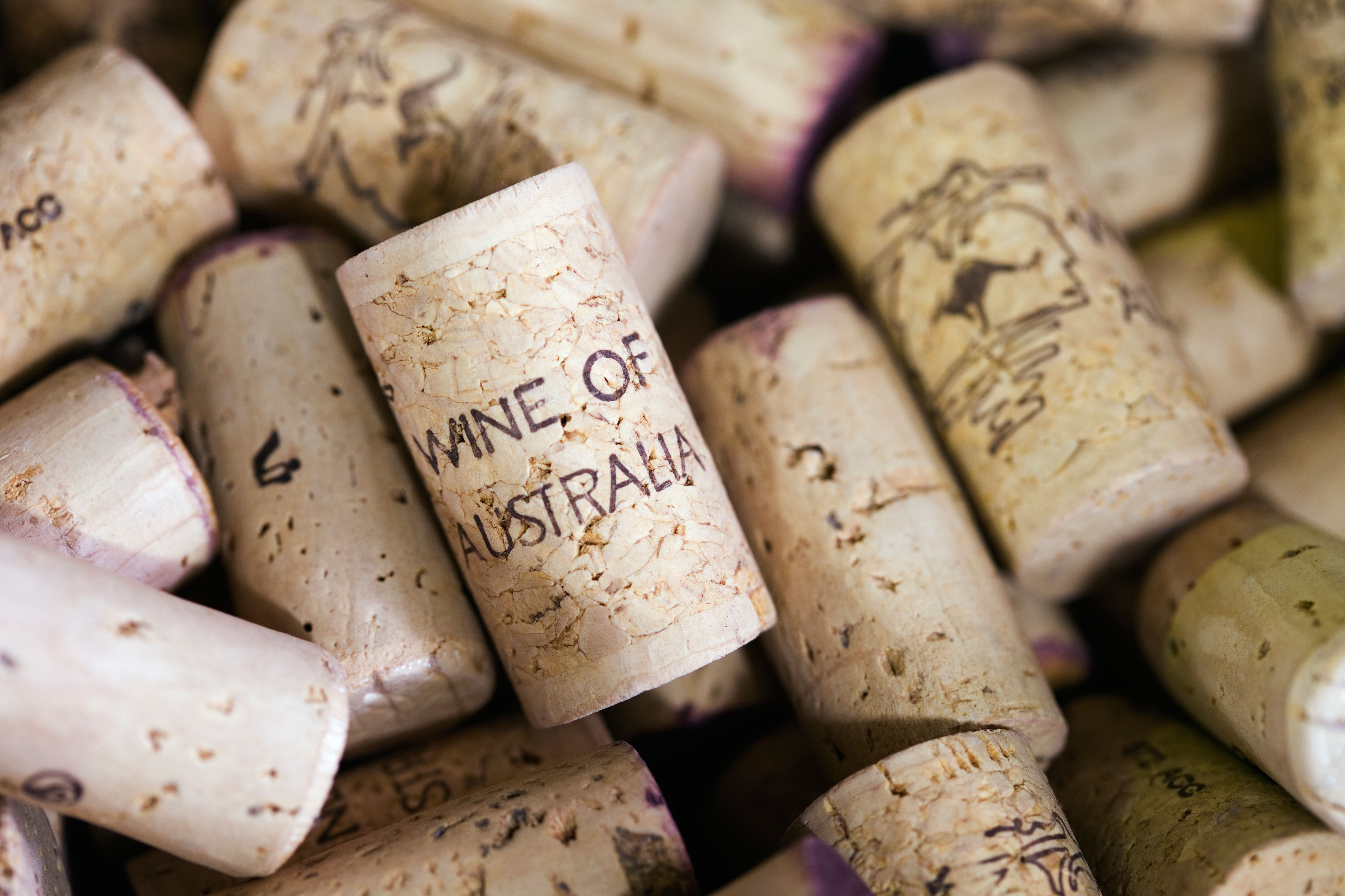 wine australia