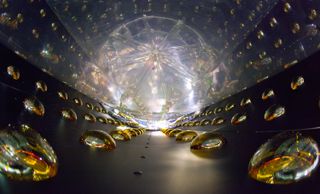 The inside of a cylindrical antineutrino detector to detect rare fundamental particles.