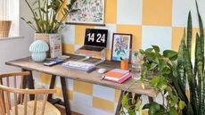 White and yellow checkerboard wall, desk with laptop and plants