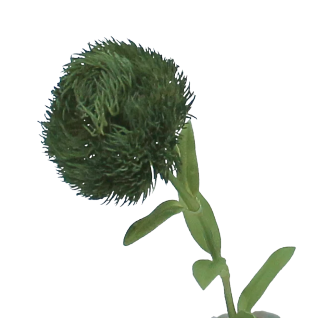 Ett Hem London, Faux Dianthus Stem