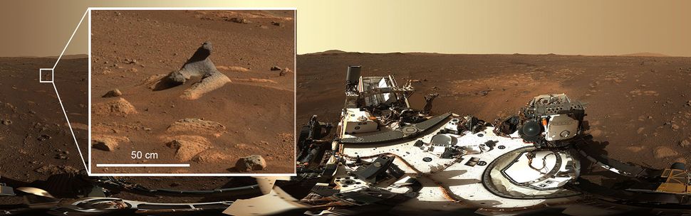 'Harbor Seal Rock' on Mars and other new sights intrigue Perseverance rover scientists