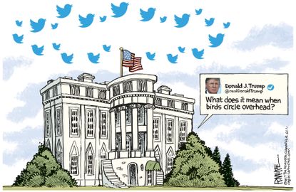 Political cartoon U.S. Trump tweets birds White House