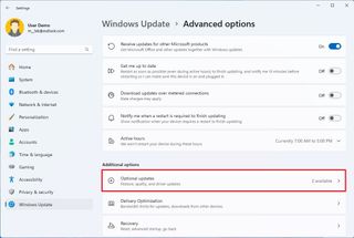 Advanced options highlighting Optional updates option