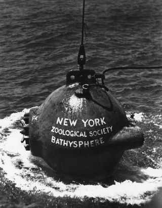 The bathysphere, from which Department of Tropical Research staff explored the deep sea, circa 1930.