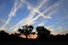 C5TD89 Oak trees and dramatic sky. Tolworth Court Farm Nature Reserve, Surrey England UK.