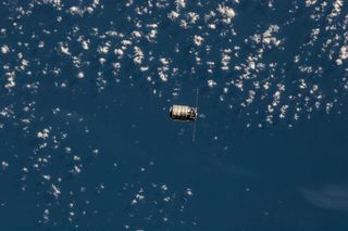 Cygnus Seen from ISS