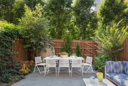a backyard with contemporary planting