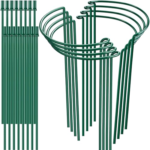 8 Pack 32 or 16 Inch Adjustable Plant Support Stakes, Heavy-Duty Half Round Peony Support, Garden Plant Stakes Cage for Outdoor Plants, Peony, Tomato, Hydrangea, (16in Support +16in Extension Tubes)