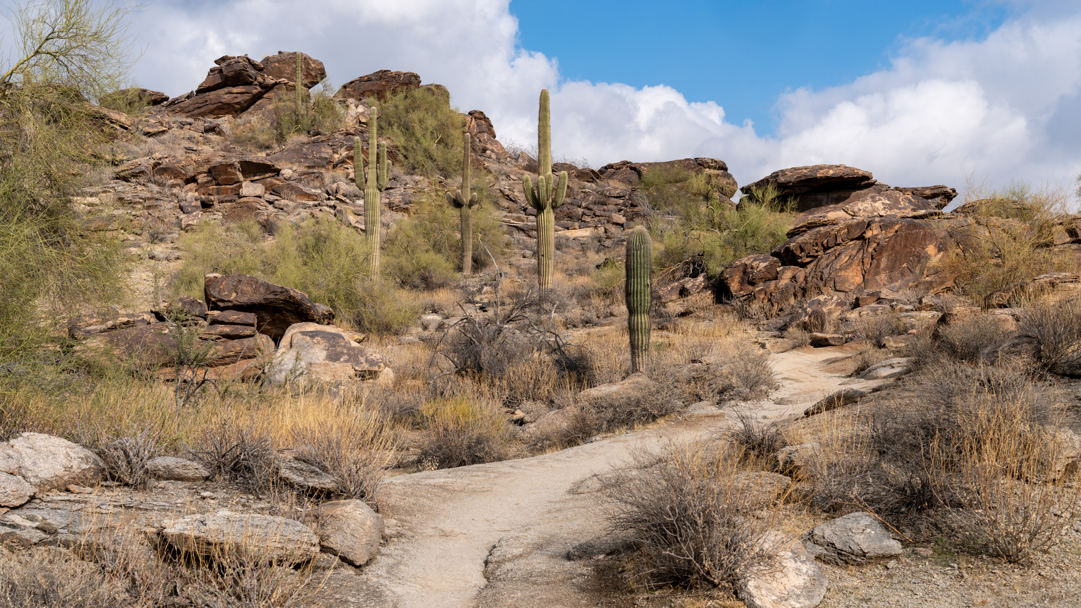 Hidden Valley Mormon Trail in South Mountain Park Preserve in Phoenix Arizona