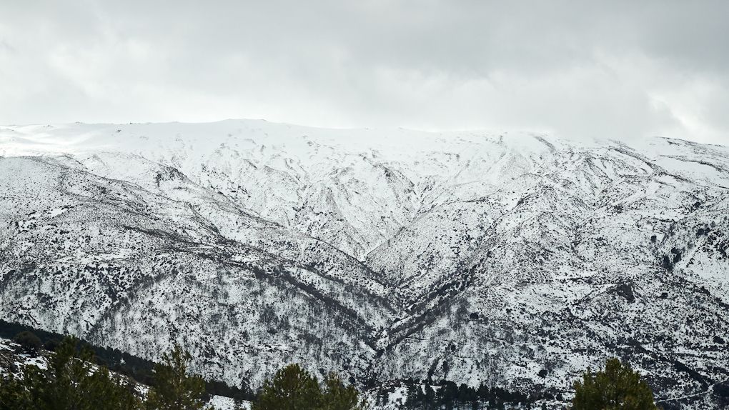 Up above the snow line