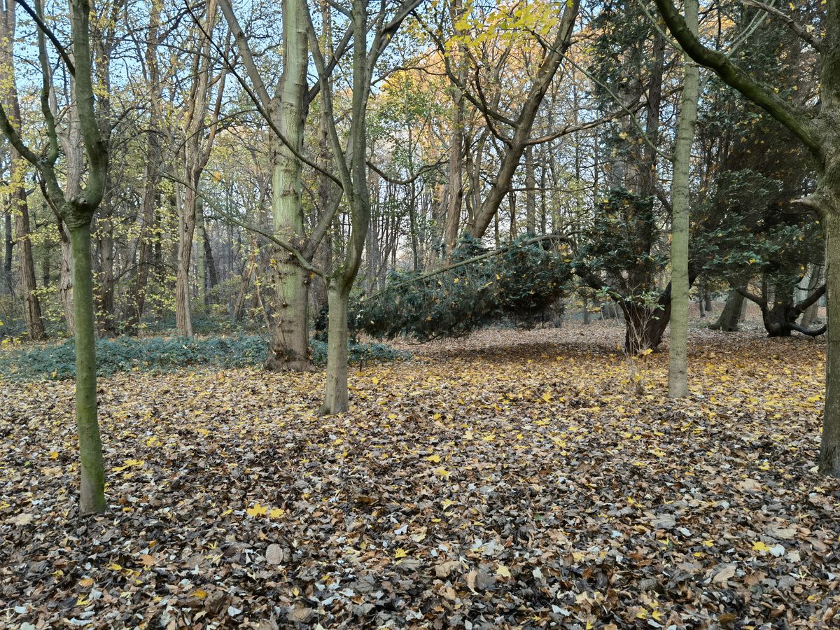 Huawei Mate 40 Pro camera