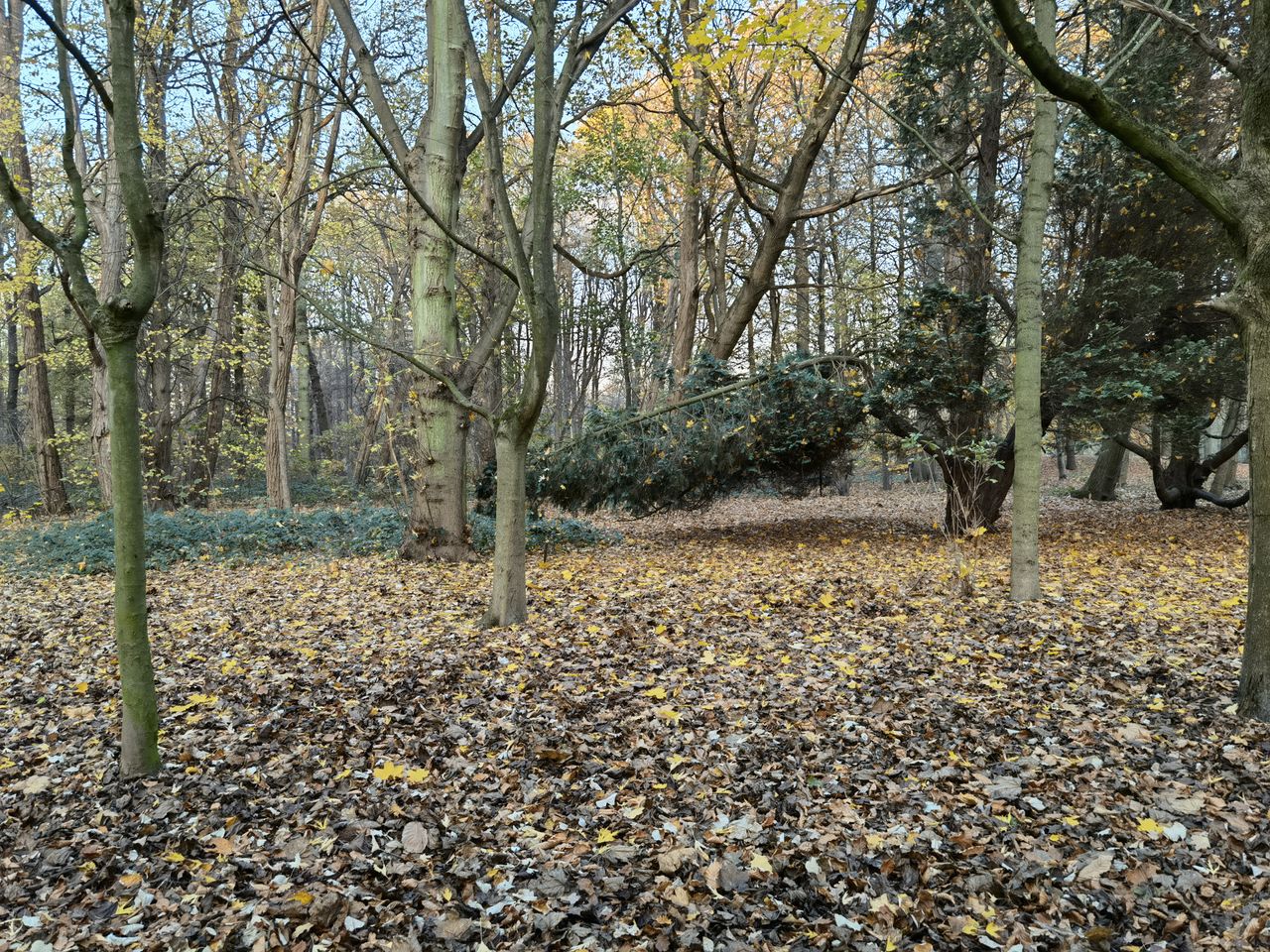 Huawei Mate 40 Pro camera