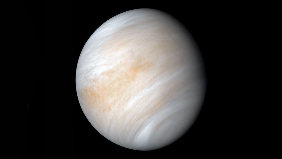 Want to find life on Venus? Check for spores in the atmosphere, new research suggests.