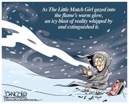 Political cartoon U.S. 2016 election recount Jill Stein