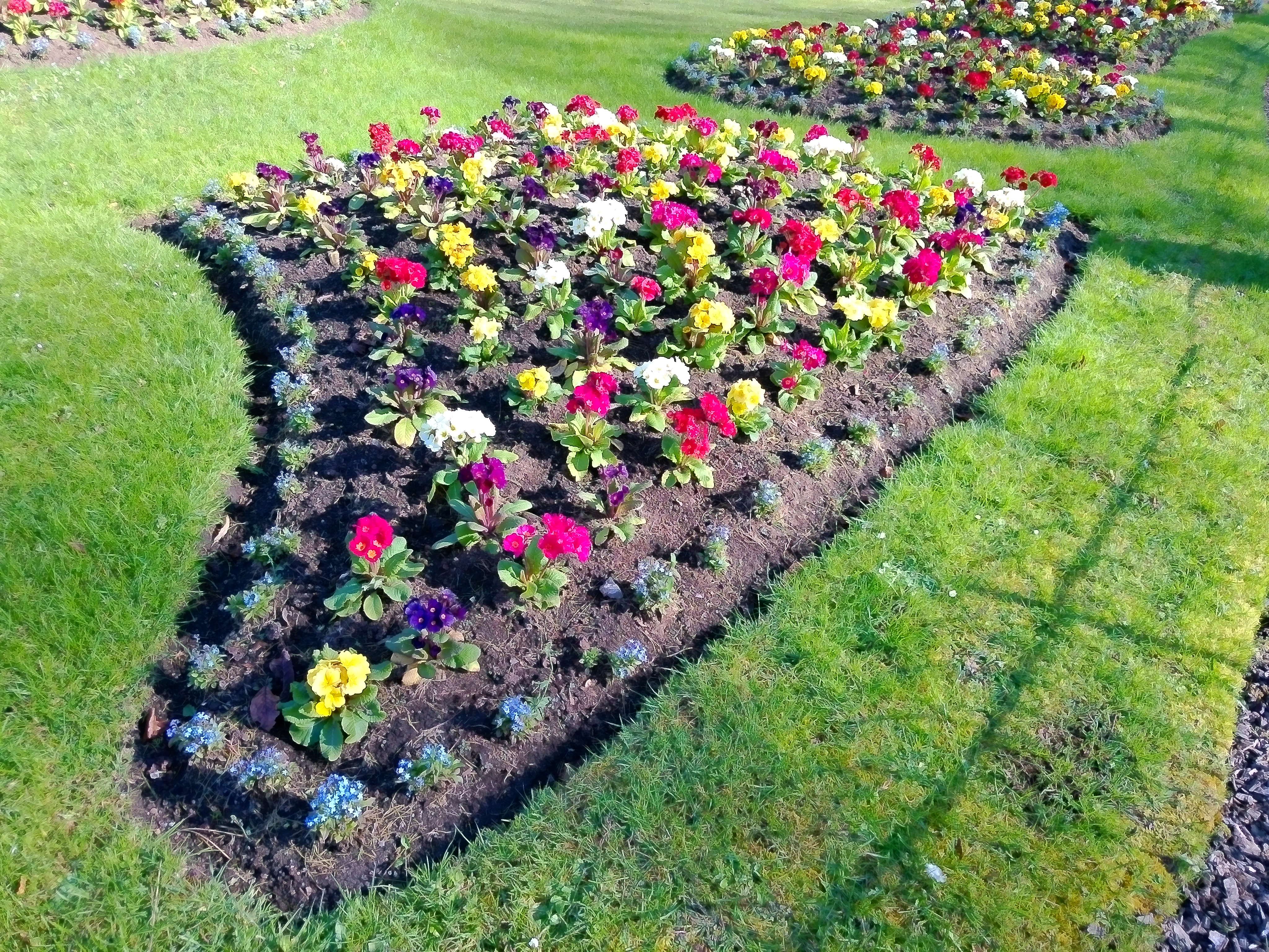 Yashica FX-D S300 sample shot