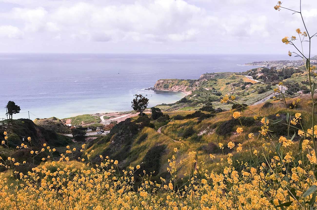 Palos Verdes Peninsula, Unsplash photo