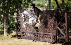 LLANARTH-GOLD-LABEL-SUPREME-CHAMPIONS.jpg