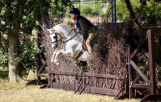 LLANARTH-GOLD-LABEL-SUPREME-CHAMPIONS.jpg