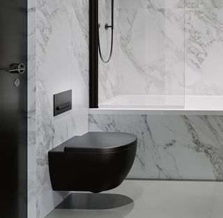 wall-hung rimless toilet in modern bathroom