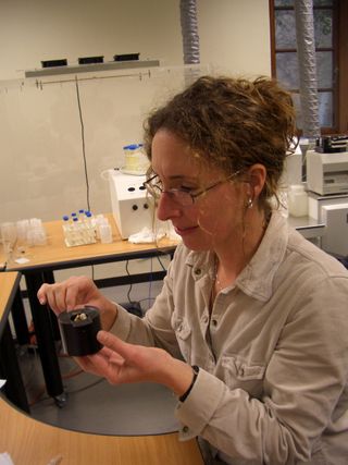 Sandi Copeland preparing to measure strontium isotope ratios of a fossil hominin tooth at the AEON lab, University of Cape Town.