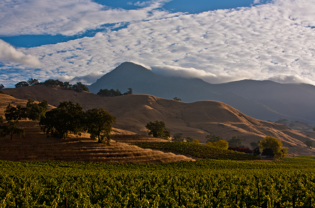 SCV_vineyard_scenic_Knights_Valley_AVA_fall_George_Rose_2012_Hres_Sonoma_County_008.png